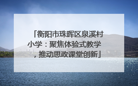 衡阳市珠晖区泉溪村小学：聚焦体验式教学，推动思政课堂创新