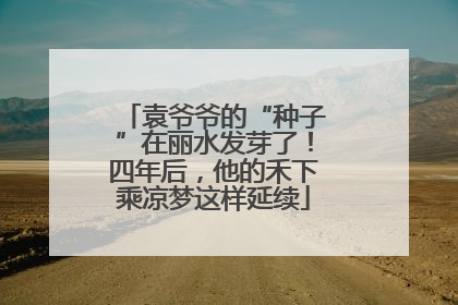 袁爷爷的“种子”在丽水发芽了！四年后，他的禾下乘凉梦这样延续