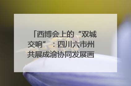 西博会上的“双城交响”：四川六市州共展成渝协同发展画卷｜西博视界