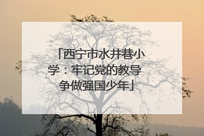 西宁市水井巷小学：牢记党的教导 争做强国少年
