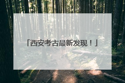 西安考古最新发现！