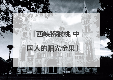 西峡猕猴桃 中国人的阳光金果