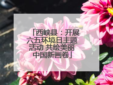 西峡县：开展六五环境日主题活动 共绘美丽中国新画卷