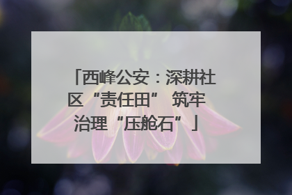 西峰公安：深耕社区“责任田” 筑牢治理“压舱石”