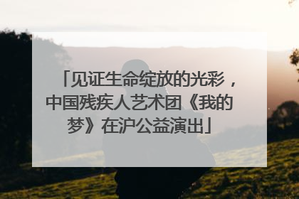 见证生命绽放的光彩，中国残疾人艺术团《我的梦》在沪公益演出