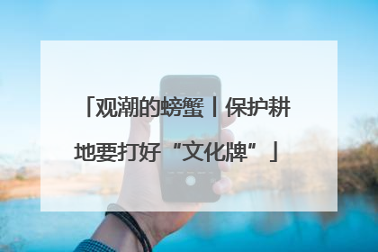 观潮的螃蟹丨保护耕地要打好“文化牌”