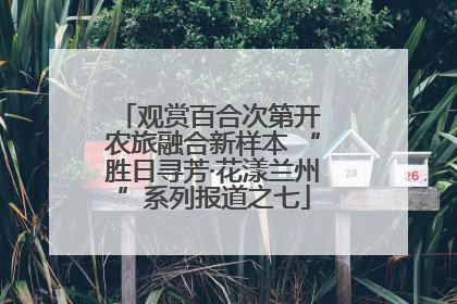 观赏百合次第开 农旅融合新样本 “胜日寻芳·花漾兰州”系列报道之七