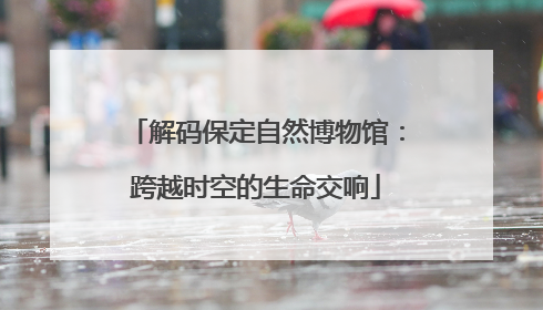 解码保定自然博物馆：跨越时空的生命交响