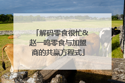 解码零食很忙&赵一鸣零食与加盟商的共赢方程式