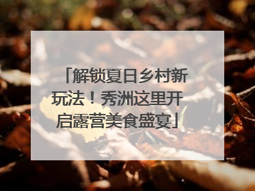 解锁夏日乡村新玩法！秀洲这里开启露营美食盛宴