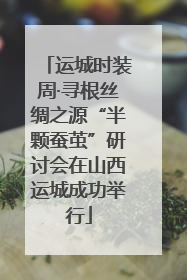 运城时装周·寻根丝绸之源“半颗蚕茧”研讨会在山西运城成功举行