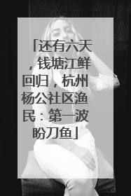 还有六天，钱塘江鲜回归，杭州杨公社区渔民：第一波盼刀鱼