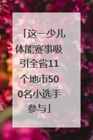 这一少儿体能赛事吸引全省11个地市500名小选手参与