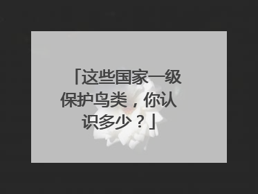 这些国家一级保护鸟类，你认识多少？