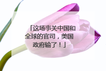 这场事关中国和全球的官司，美国政府输了！