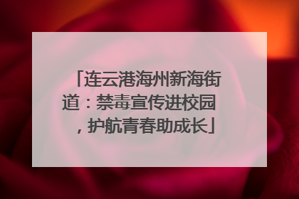 连云港海州新海街道：禁毒宣传进校园，护航青春助成长