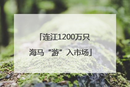连江1200万只海马“游”入市场