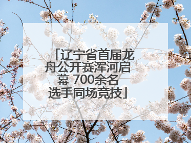 辽宁省首届龙舟公开赛浑河启幕 700余名选手同场竞技