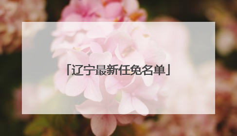 辽宁最新任免名单