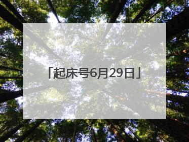 起床号6月29日
