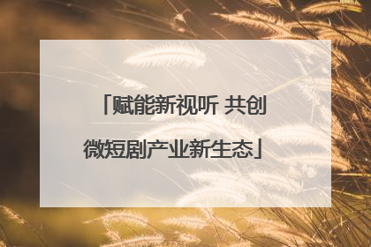 赋能新视听 共创微短剧产业新生态