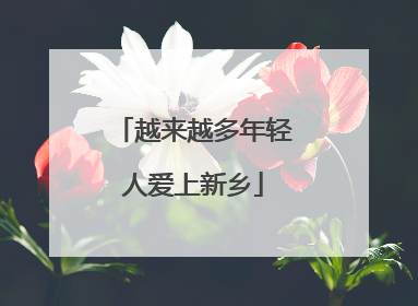 越来越多年轻人爱上新乡
