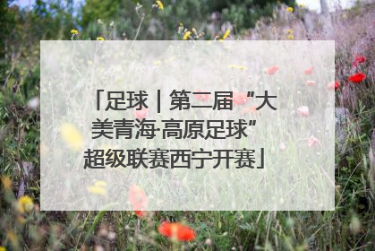 足球｜第二届“大美青海·高原足球”超级联赛西宁开赛
