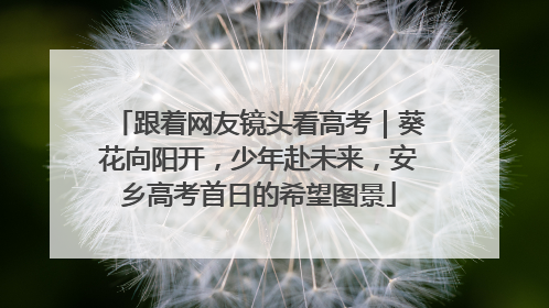 跟着网友镜头看高考｜葵花向阳开，少年赴未来，安乡高考首日的希望图景