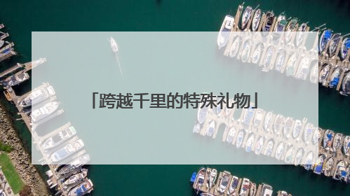 跨越千里的特殊礼物