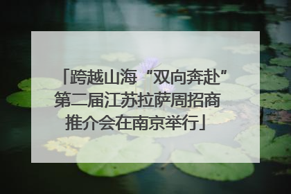 跨越山海“双向奔赴” 第二届江苏拉萨周招商推介会在南京举行