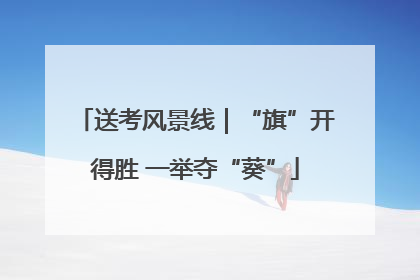送考风景线｜“旗”开得胜 一举夺“葵”