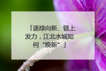 逐绿向新、链上发力，江北水城如何“焕新”