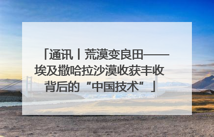 通讯丨荒漠变良田——埃及撒哈拉沙漠收获丰收背后的“中国技术”