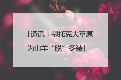 通讯：鄂托克大草原为山羊“脱”冬装