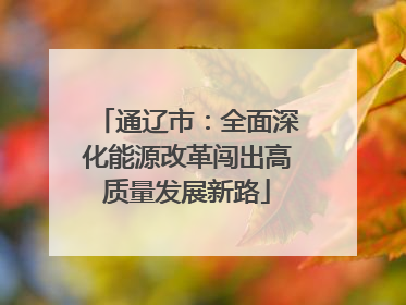 通辽市：全面深化能源改革闯出高质量发展新路