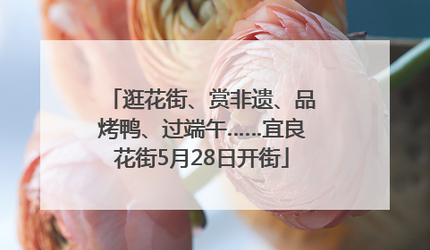 逛花街、赏非遗、品烤鸭、过端午……宜良花街5月28日开街