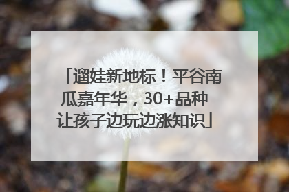 遛娃新地标！平谷南瓜嘉年华，30+品种让孩子边玩边涨知识