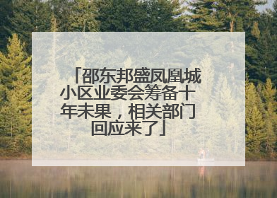 邵东邦盛凤凰城小区业委会筹备十年未果，相关部门回应来了