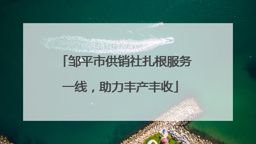 邹平市供销社扎根服务一线，助力丰产丰收