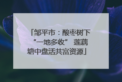 邹平市：酸枣树下“一地多收” 莲藕塘中盘活共富资源