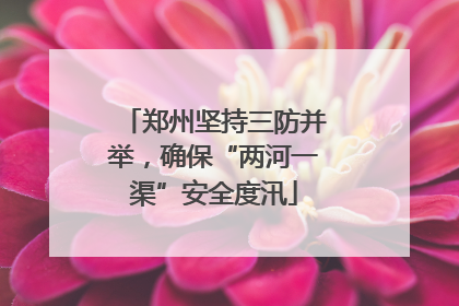 郑州坚持三防并举，确保“两河一渠”安全度汛