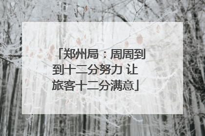 郑州局：周周到到十二分努力 让旅客十二分满意