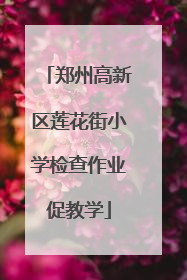 郑州高新区莲花街小学检查作业促教学