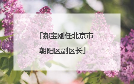 郝宝刚任北京市朝阳区副区长