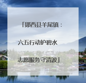 郧西县羊尾镇：六五行动护碧水 志愿服务守清波