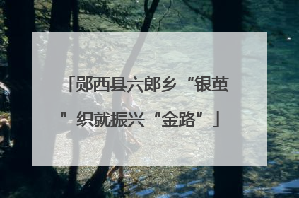 郧西县六郎乡“银茧”织就振兴“金路”