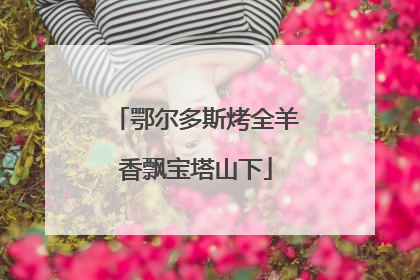 鄂尔多斯烤全羊香飘宝塔山下