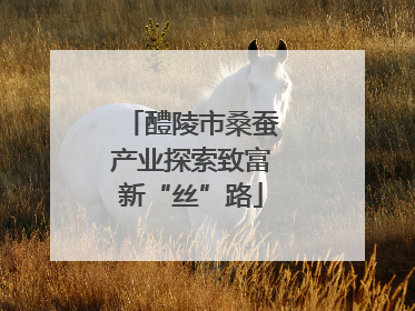 醴陵市桑蚕产业探索致富新“丝”路