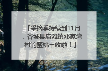 采摘季持续到11月，谷城县庙滩镇邓家湾村的蜜桃丰收啦！
