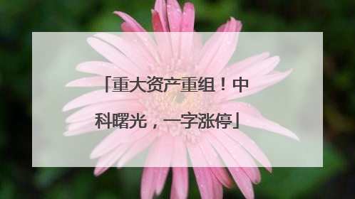 重大资产重组！中科曙光，一字涨停